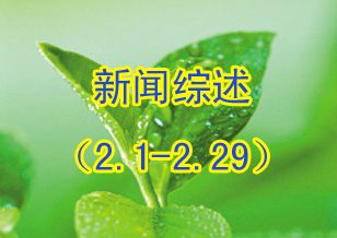 新闻综述（2.1—2.29）