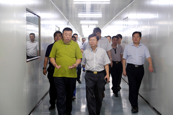 开封市副市长到易成新能调研电镀金刚线项目