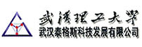 武汉泰格斯科技发展有限公司