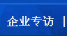 企业专访