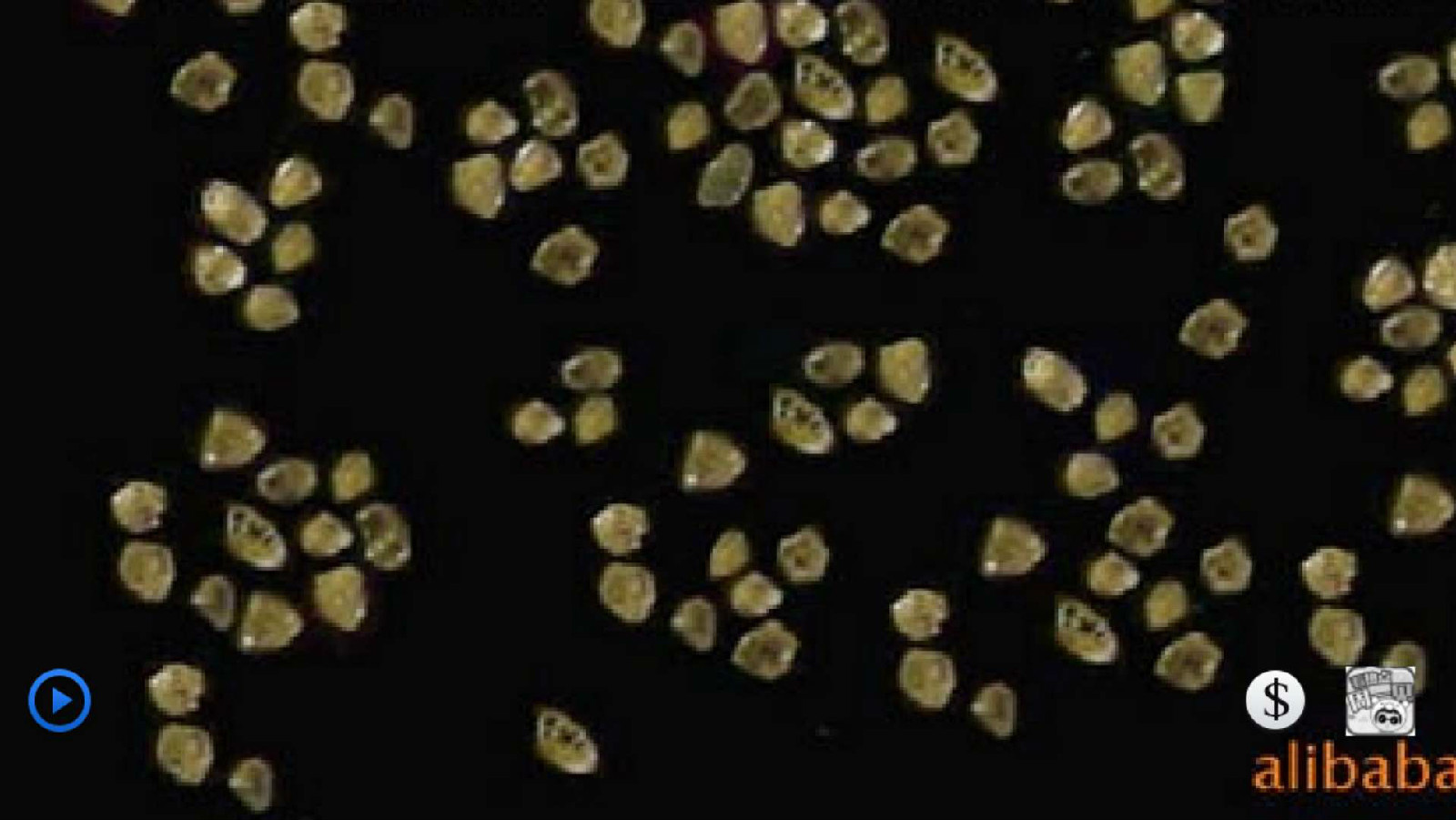 纯中南W40金刚石微粉