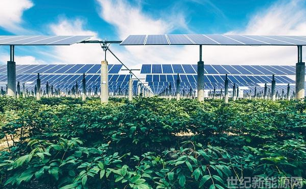 光伏补贴花样调降 户用光伏将起死回生