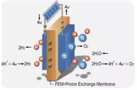 Proton PEM技术知多少？