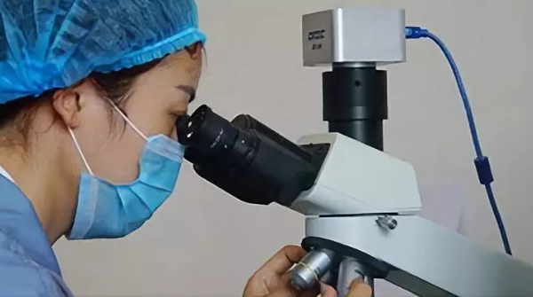 加快科技成果转化 厚德钻石与河南省技术产权交易所达成战略合作