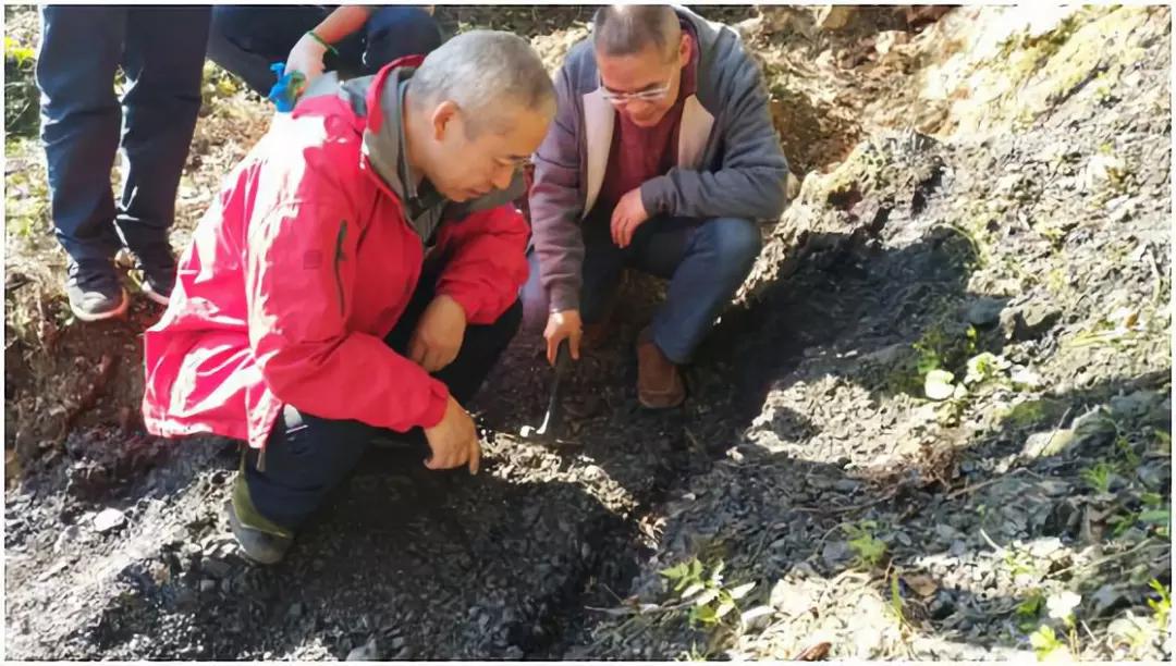 四川旺苍地区新发现超大型优质晶体石墨矿