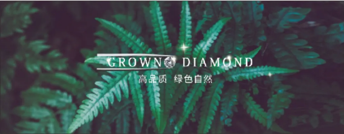 时尚原力 | 沃尔德开启培育钻体验之风