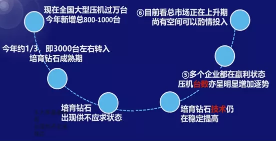超硬材料学术带头人解读培育钻石的战略思考与未来