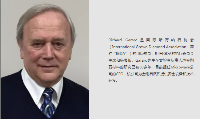 国际培育钻石协会升级 助推产业发展