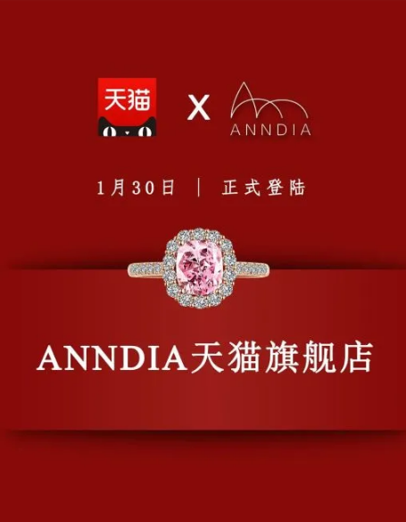 沃尔德培育钻品牌-Anndia，成功入驻天猫商城！