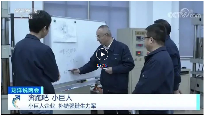 中国“小巨人”是怎么做到的？