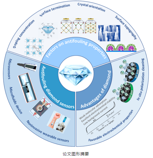 中南大学魏秋平团队综述 金刚石抗污研究