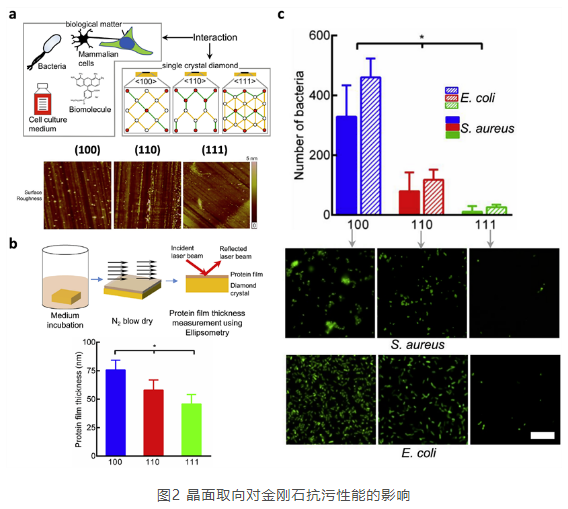 中南大学魏秋平团队综述 金刚石抗污研究