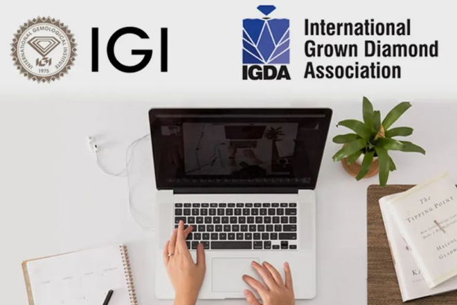 IGDA合作IGI为成员提供培育钻石课程学习