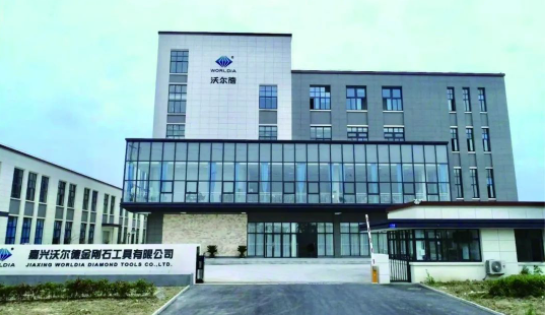 沃尔德：“野心勃勃”抢占未来发展新风口