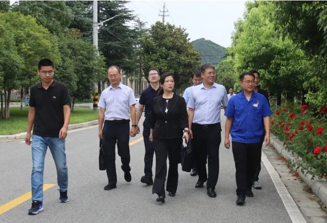 河南省科技厅党组成员、副厅长陶曼晞一行调研中南钻石