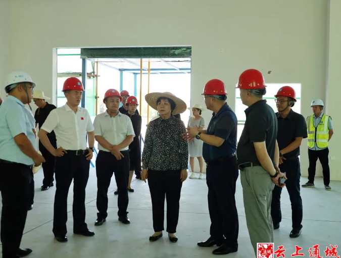 通城县领导调研研磨产业回归创业（孵化）园建设工作
