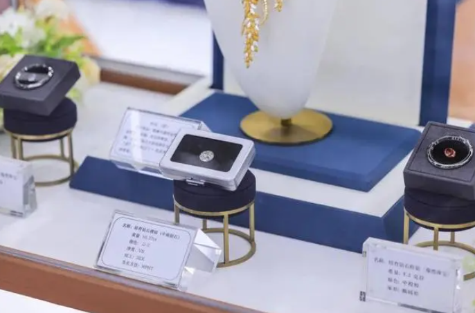 河南培育钻石组团加盟南京车展，誓做“下一个新能源车”
