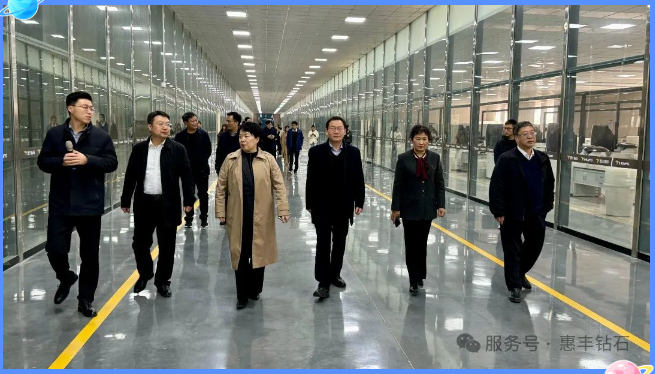 国家超硬材料专家团到惠丰钻石指导工作