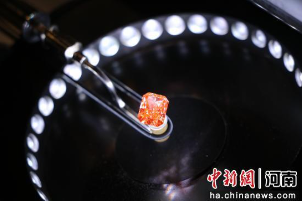创新技术助推河南培育钻石闪耀海外